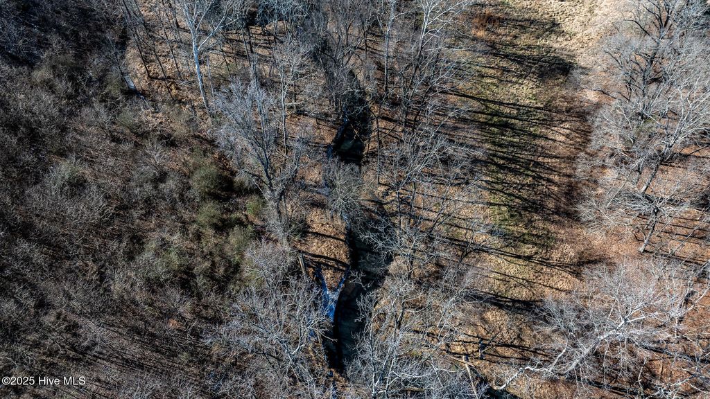 Image 58 of property listing at 1100 Ben Smith Road, Siler City, NC 27344