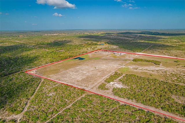 161 Javelina Dr, George West, TX 78022