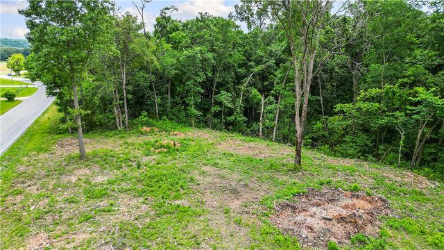 TBD TBD Posy Mountain Road, Rogers, AR 72756
