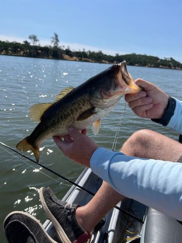 15184 Reynosa Dr, Rancho Murieta, CA 95683