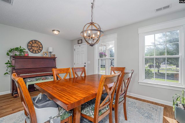 107 Elm Creek Drive, Chapin, SC 29036
