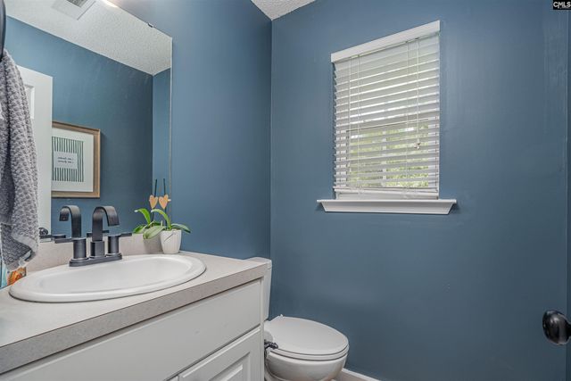 107 Elm Creek Drive, Chapin, SC 29036