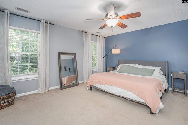 107 Elm Creek Drive, Chapin, SC 29036