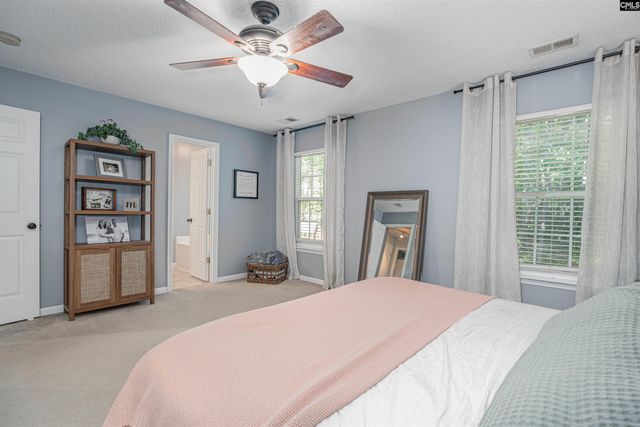 107 Elm Creek Drive, Chapin, SC 29036