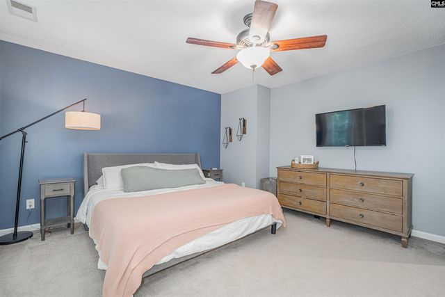 107 Elm Creek Drive, Chapin, SC 29036