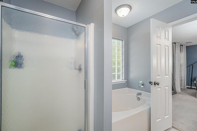 107 Elm Creek Drive, Chapin, SC 29036