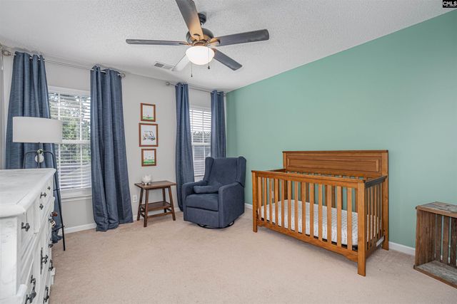 107 Elm Creek Drive, Chapin, SC 29036