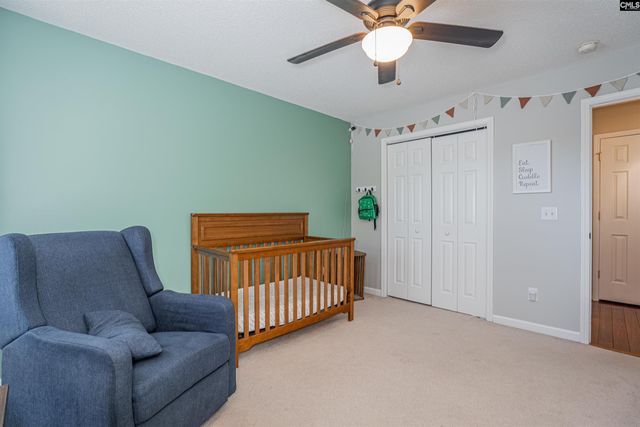 107 Elm Creek Drive, Chapin, SC 29036