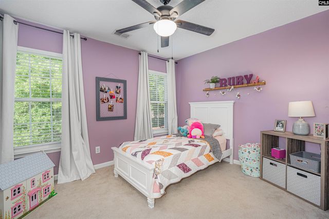 107 Elm Creek Drive, Chapin, SC 29036