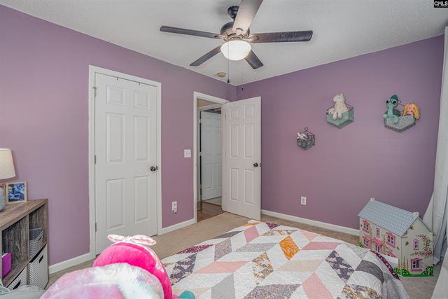 107 Elm Creek Drive, Chapin, SC 29036