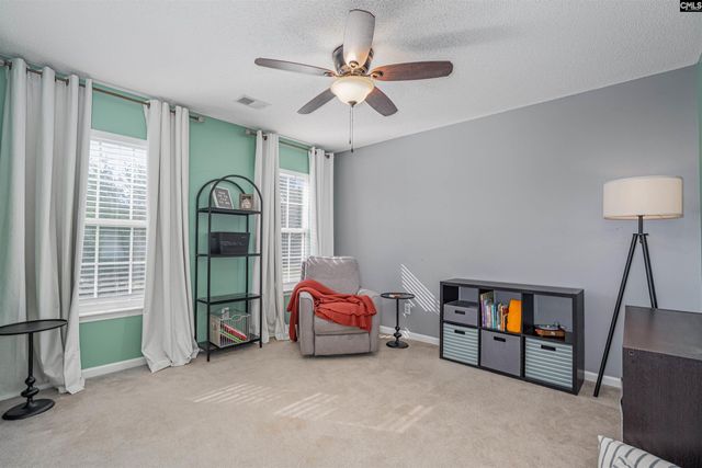 107 Elm Creek Drive, Chapin, SC 29036