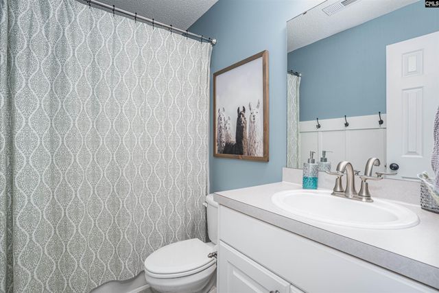 107 Elm Creek Drive, Chapin, SC 29036