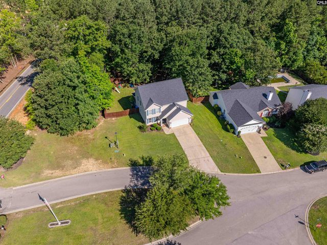 107 Elm Creek Drive, Chapin, SC 29036