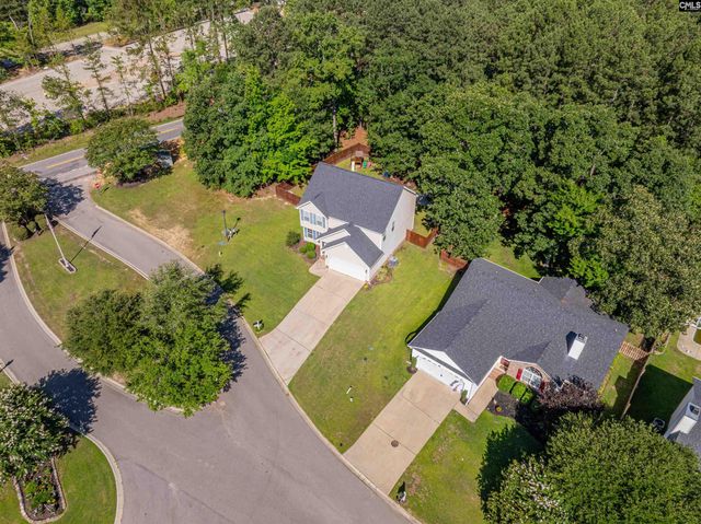 107 Elm Creek Drive, Chapin, SC 29036