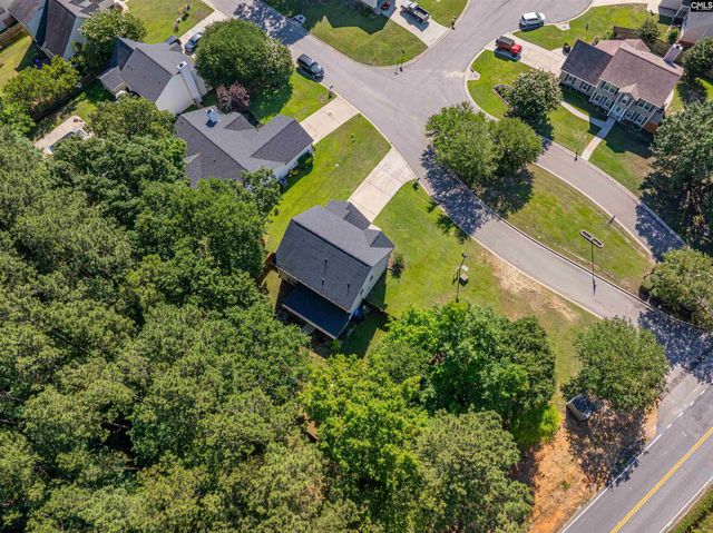 107 Elm Creek Drive, Chapin, SC 29036