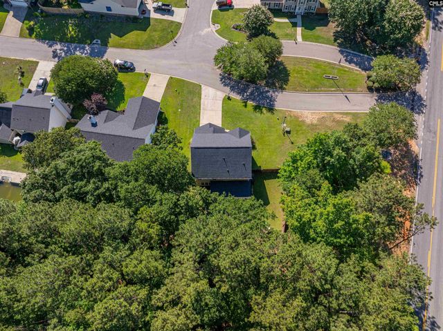 107 Elm Creek Drive, Chapin, SC 29036