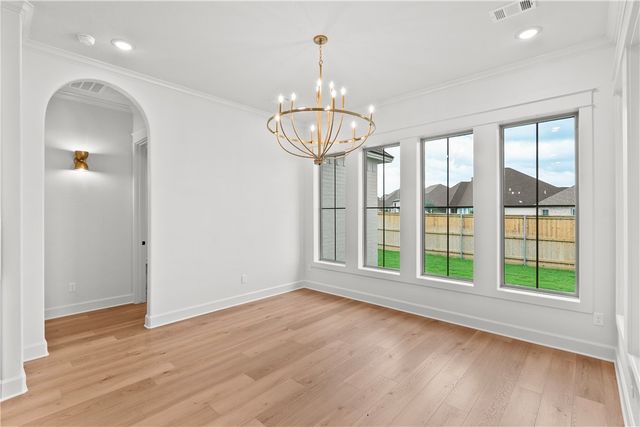 2317 Terrapin Trail, College Station, TX 77845