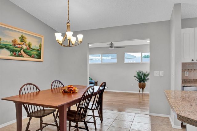 807 CAMINO DEL REY DRIVE, The Villages, FL 32159