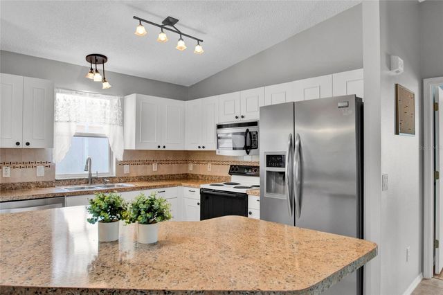 807 CAMINO DEL REY DRIVE, The Villages, FL 32159