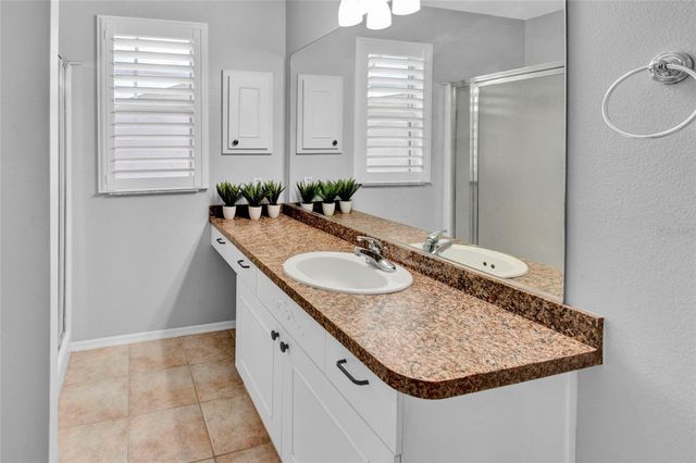 807 CAMINO DEL REY DRIVE, The Villages, FL 32159