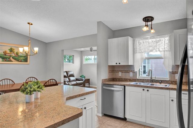 807 CAMINO DEL REY DRIVE, The Villages, FL 32159