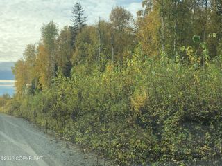 21312 W Bow Tie Loop, Willow, AK 99688