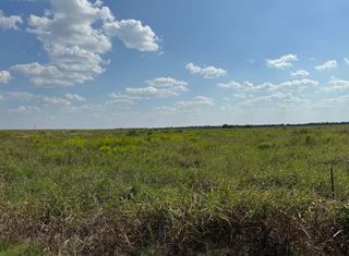 TBD FM 485, Buckholts, TX 76518