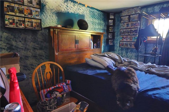 1550 E 337 Street, Eastlake, OH 44095