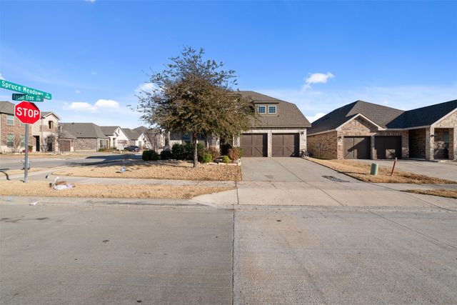 3701 Fossil Tree Lane, Fort Worth, TX 76244