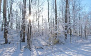 * River Road, Paradise Twp, MI 49649