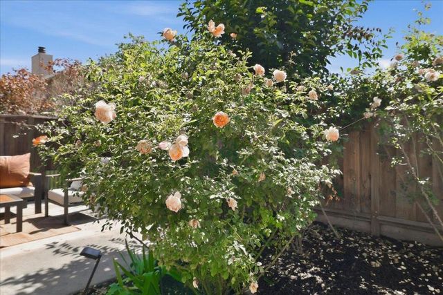 4562 Carmen Way, Union City, CA 94587
