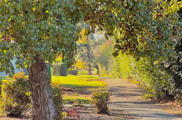 5333 Park Highlands Blvd 27, Concord, CA 94521