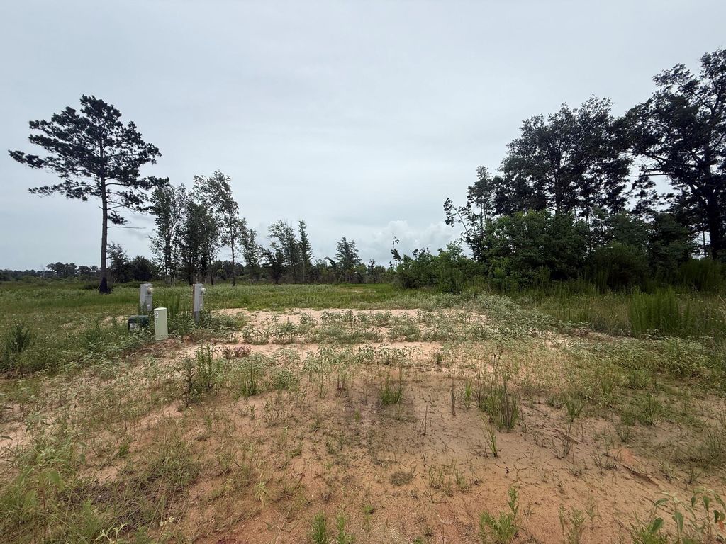 386 Road 5879, Cleveland, TX 77327