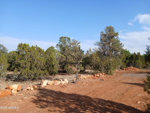 3227 JEEP Trail Lot 3, Overgaard, AZ 85933