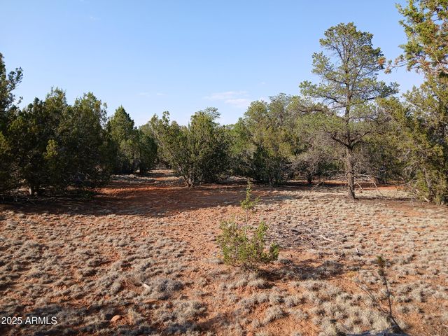 3227 JEEP Trail Lot 3, Overgaard, AZ 85933
