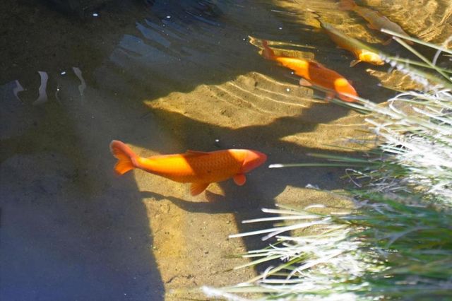 95 Red Rock Way 203M, San Francisco, CA 94131