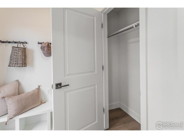 943 Trumpet Ln, Windsor, CO 80550