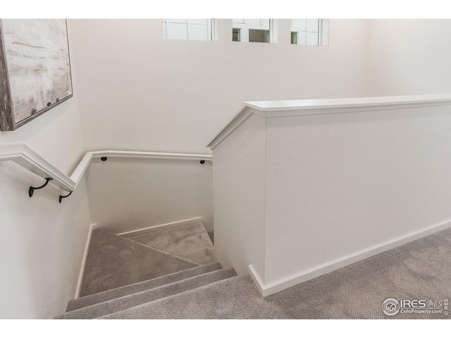 943 Trumpet Ln, Windsor, CO 80550