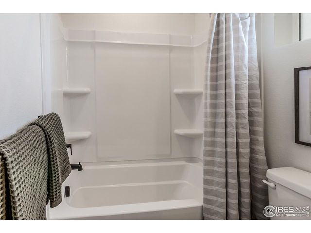 943 Trumpet Ln, Windsor, CO 80550