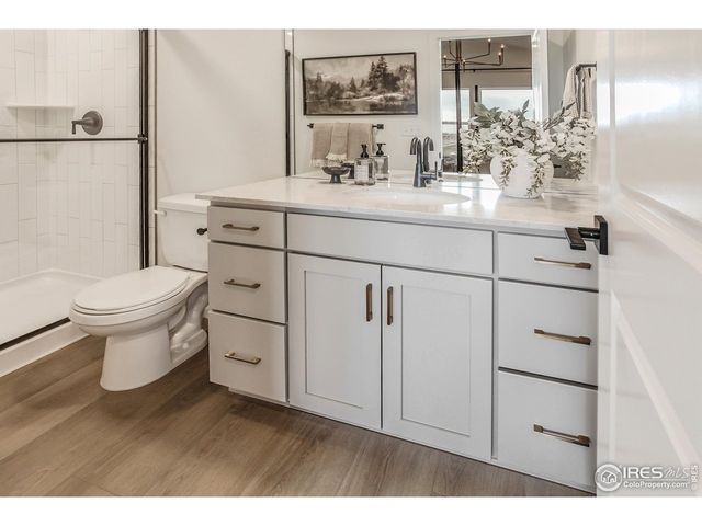 943 Trumpet Ln, Windsor, CO 80550