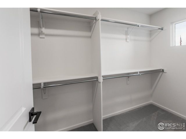 943 Trumpet Ln, Windsor, CO 80550