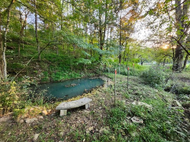 994 Bull Run Rd, Lynchburg, TN 37352