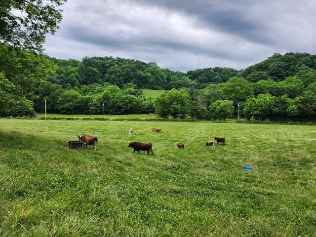 994 Bull Run Rd, Lynchburg, TN 37352