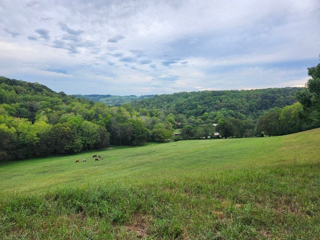 994 Bull Run Rd, Lynchburg, TN 37352