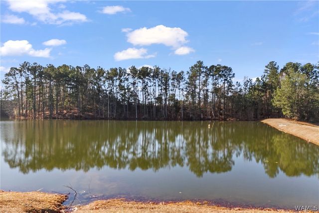 2010 Waterford, Tuscaloosa, AL 35405