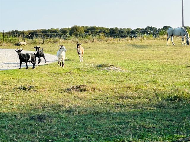 751 Hcr 1321, Hillsboro, TX 76645