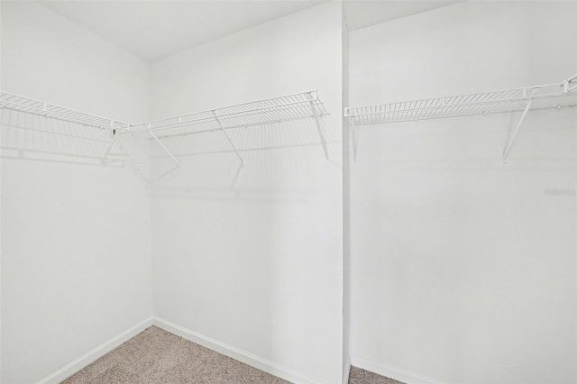 15442 CARAVAN AVENUE, Odessa, FL 33556