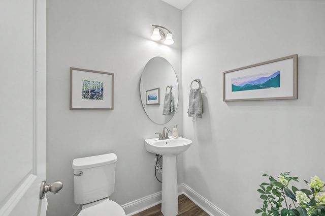 115 Firebrick Way, Summerville, SC 29483