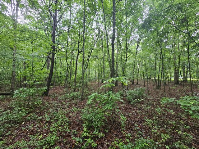 2411 SR 56, Tracy City, TN 37387