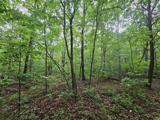 2411 SR 56, Tracy City, TN 37387